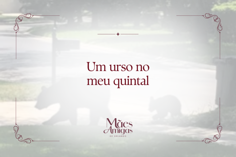Um urso no meu quintal