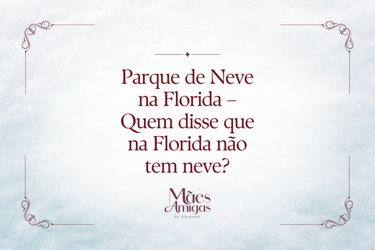 Parque de Neve na Florida – Quem disse que na Florida não tem neve?
