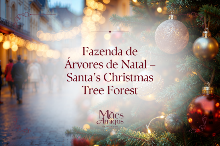 Fazenda de Árvores de Natal – Santa’s Christmas Tree Forest